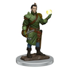 Half-Elf Bard