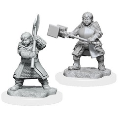Critical Role Dwarf Dwendalian Empire Fighter