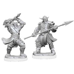 Critical Role Bugbear Fighter