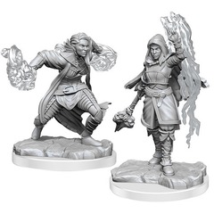 Nolzur's Minis: Half-Elf Warlock