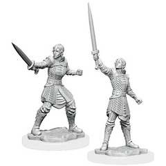 Critical Role Human Dwendalian Empire Fighter