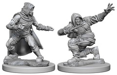 Male Human Rogue