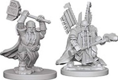 Dwarf Paladin