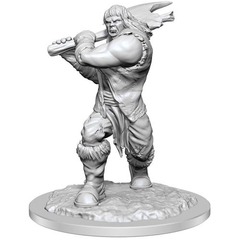Dungeons and Dragons Ogre