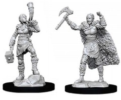 Human Barbarian