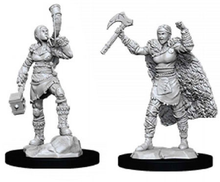 Human Barbarian