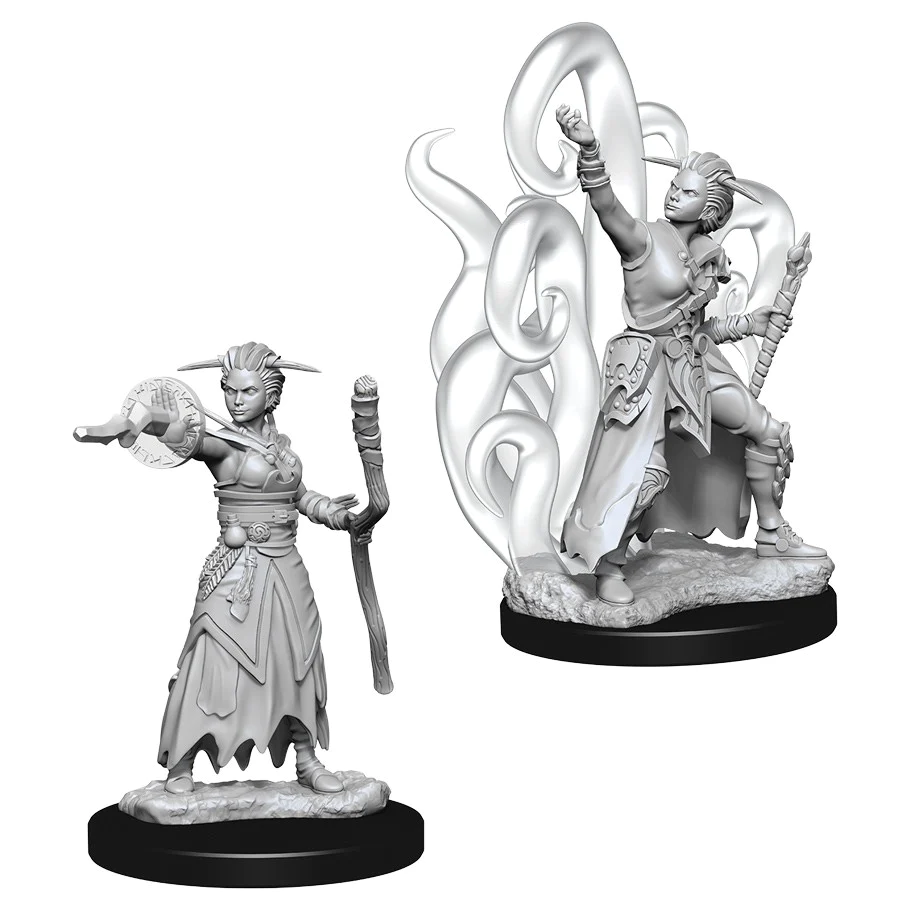 Nolzurs Minis: Human Warlock