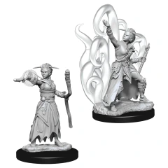 Nolzur's Minis: Human Warlock