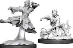 Human Monk Female
