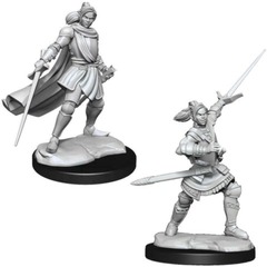 Half-Elf Xhorhas Paladin