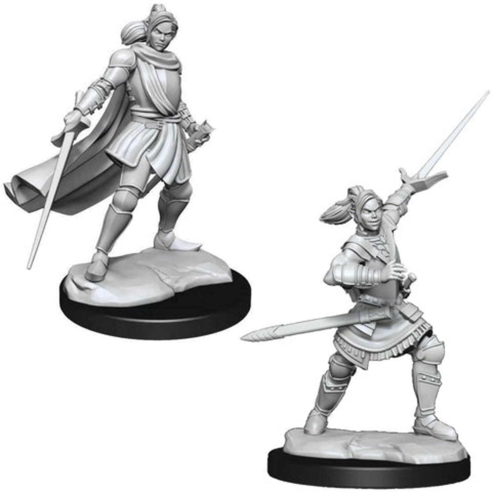 Half-Elf Xhorhas Paladin