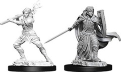 Nolzur's Minis: Human paladin