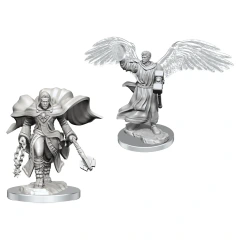 Nolzur's Minis: Aasimar Cleric Male