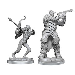 Critical Role Minis - Ashari Stoneguard & Ashari Skydancer