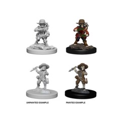Male Halfling Rogue - 73407