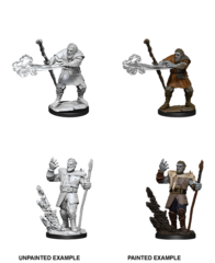 90013 D&D male firbolg druid
