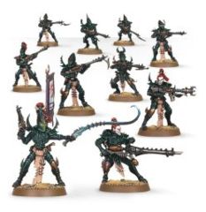 45-07 Kabalite Warriors - Drukhari