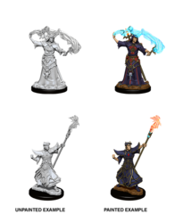 90052 - Pathfinder male human sorcerer