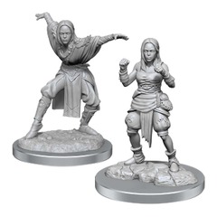 WZK90652: Pathfinder Minis: Deep Cuts Wave 21 - Half-Elf Monk Females