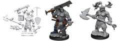 WZK75011 D&D Frameworks Orc Barbarian Male