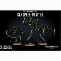 Necrons: Canoptek Wraiths 49-14