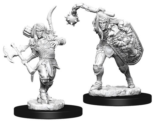 73409 - Male Elf Fighter