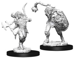 73409 - Male Elf Fighter