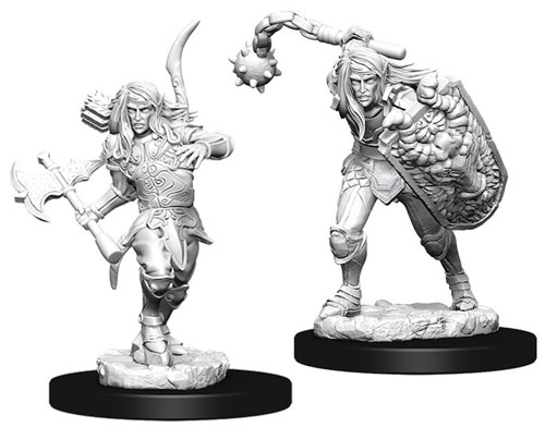 73409 - Male Elf Fighter