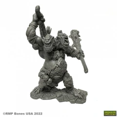 Reaper Bones USA: Nor'okk Ettin - 7065