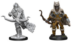 90227 - Wave 14 Firbolg Ranger Male