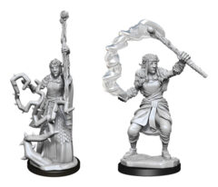 90146 - D&D Minis: Wave 13- Firbolg Druid Female