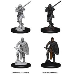 wzk73705 - female human fighter wave 9