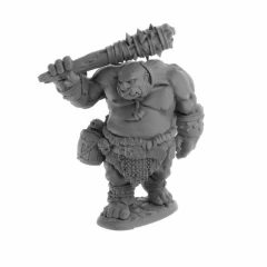 Reaper Bones USA: Dungeon Dwellers Ogre Guard (07063)