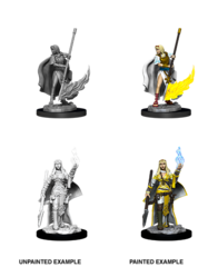 90044 - Pathfinder female human oracle