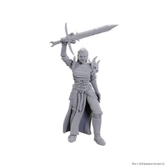 D&D Nolzurs Marvelous Miniatures: Blackguard WZK90772