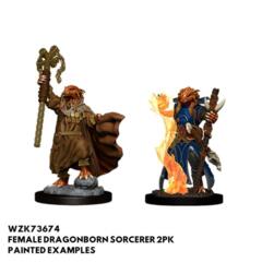 73674 - Dragonborn Female Sorcerer