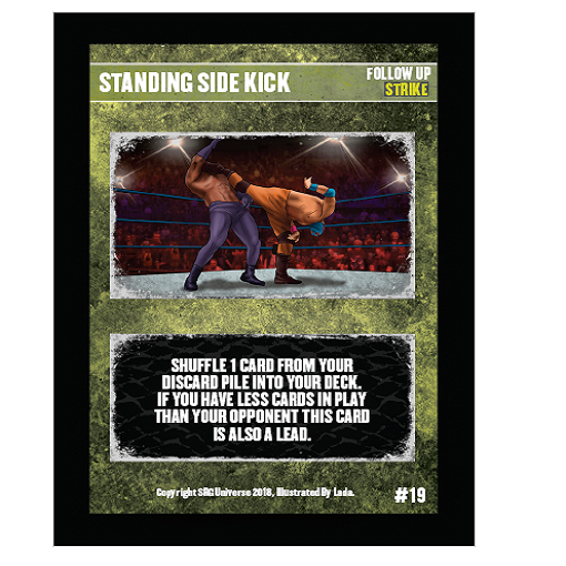 19 - Standing Side Kick