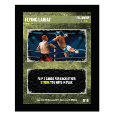 16 - Flying Lariat