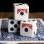 Bicycle 5 Count Dice