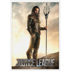 Dragon Shield Matte 100- Justice League- Aquaman