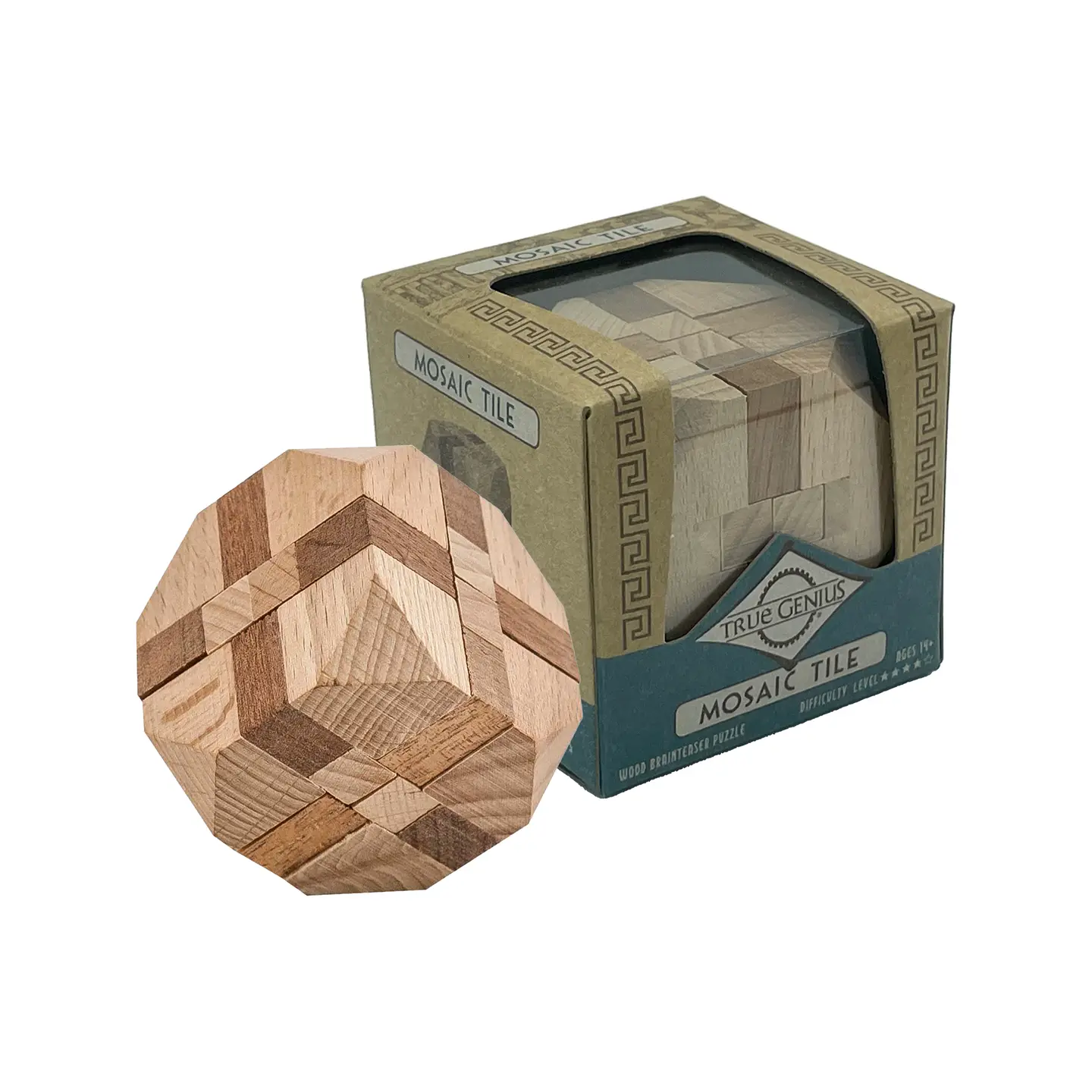 True Genius Puzzle