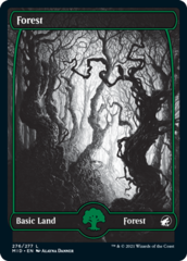 Forest (Full Art Embossed) - Innistrad: Midnight Hunt (276)