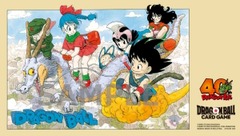 DBS OFFICIAL PLAYMAT 40TH ANNIVERSARY