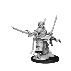 Dungeons & Dragons: Nolzur's Marvelous Unpainted Miniatures - W13 Human Ranger Male