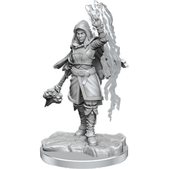 Dungeons & Dragons: Nolzur's Marvelous Unpainted Miniatures - W20 Half-Elf Warlock