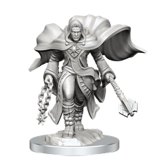 Dungeons & Dragons: Nolzur's Marvelous Unpainted Miniatures - W20 Aasimar Cleric Male