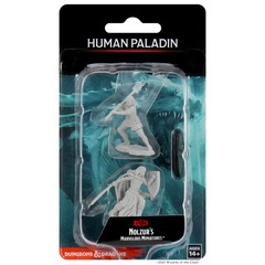 Dungeons & Dragons: Nolzur's Marvelous Unpainted Miniatures - W10 Female Human Paladin