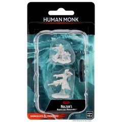 Dungeons & Dragons: Nolzur's Marvelous Unpainted Miniatures - W11 Female Human Monk