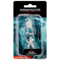 Dungeons & Dragons: Nolzur's Marvelous Unpainted Miniatures - W08 Male Human Fighter