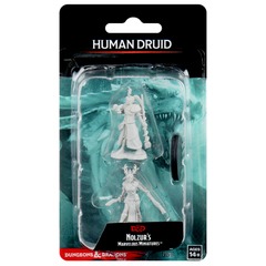 Dungeons & Dragons: Nolzur's Marvelous Unpainted Miniatures - W09 Female Human Druid